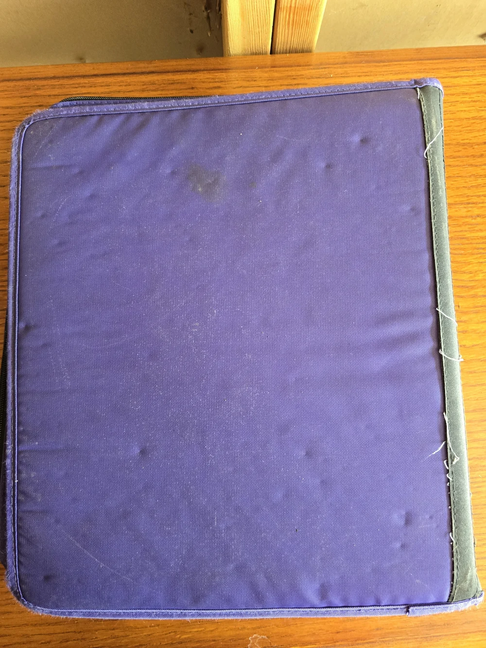 Nike Purple and Black Zippered Binder Sleeve